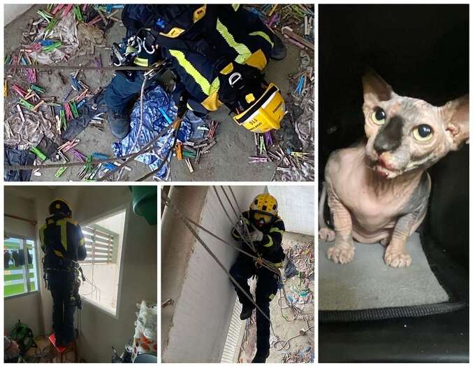 Imágenes del rescate/TA.